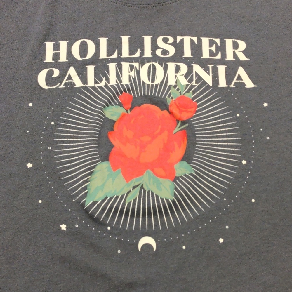 Hollister California Rose Graphic Crop Tee XS Charcoal Gray Juniors XS - Picture 3 of 7